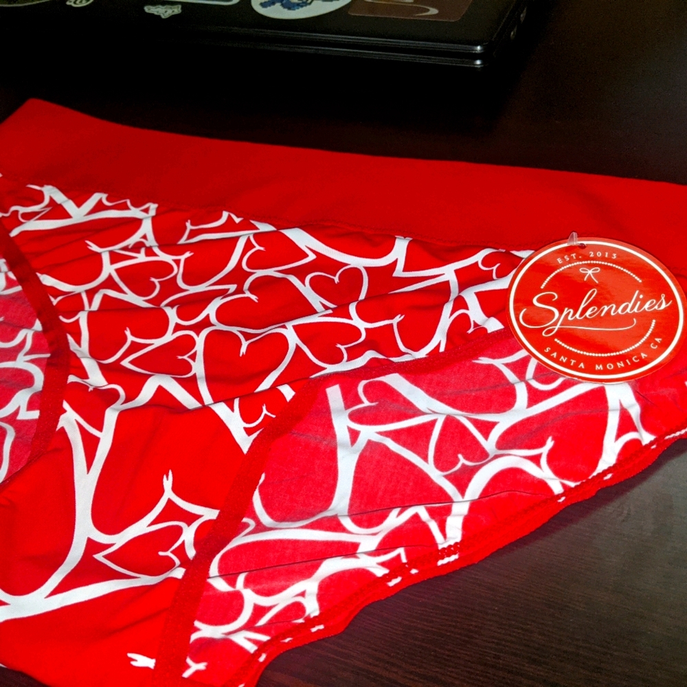 Splendies panty bundle (2)